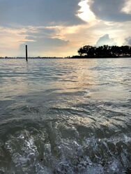 Seven Palms Sentosa Cove (D4), Condominium #469252721